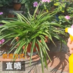 Plant organic insecticide 500ML (does not harm plants. Green organic ingredients) insecticide for vegetables pesticides for plants Organic Insecticide Pesticide Pest Control