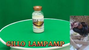 Gillo Thái Lan (Lampam) Chai 20ml - Tr.ị Khò Khè Sổ Mũi Phân Xanh Phân Trắng Cho Gà Đá.TẶNG kim tiêm