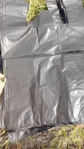 Combo 60 Túi đựng rác đen dày - Tải 5kg 35x35 cm #vattuducduyen