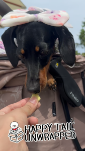 Goat Milk Calcium Crunch- บิสกิตแคลเซียมนมแพะประโยชน์จากผลไม้สำหรับสุนัข