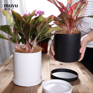 Modern Minimalist Ins Nordic Style Matte Green Plant with Tray Stylish Creative Succulent Ceramic Green Radish Cylindrical Flower Pot