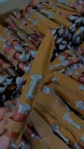 Pisau Belati Pramuka Anak SD SMP SMA Harga 1KD 20 PCS