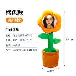 Enchanting Flower DIY Customized Printable Photos Funny Singing and Dancing Birthday Gift for Girls Girlfriends Gift Boys