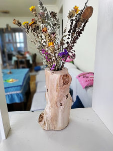 Shaped Solid Wood Flower Pot Succulent Dendrobe Orchid Wooden Planter Indoor Outdoor Monster Tree Pile Old Wood Material Bonsai Absorbent