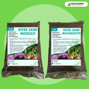 RIVER SAND  FOR BONSAI CACTUS AQUARIUM SUBSTRATE BEST QUALITY (1KG)