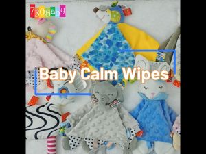 Baby Toy Super Soft Calm Wipes Placate Towel Baby Rattle Toys Dolery