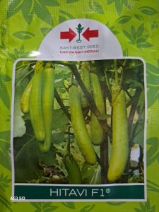 Beninh Terong Hijau HITAVI F1 Isi 1.100 Butir Cap Panah Merah