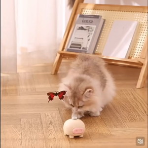😻พร้อมส่ง😻ของเล่นแมว ของเล่นแมวหมุน ผีเสื้อ ของเล่นแมว ของเล่นสัตว์เลี้ยง ของเล่นแมวหมุนอัตโนมัติอัจฉริยะ ผีเสื้อบินอัตโนมัติ ของเล่นออโต้ หมุน360°-D19