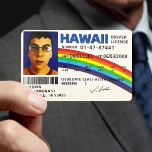 Phụ Kiện Tiệc Tùng Bằng Nhựa PVC Hình Bằng Lái Xe Hawaii Họa Tiết Cầu Vồng & Aloha Trang Phục Hoàn Hảo Cho Các Bữa Tiệc Và Lễ Hội