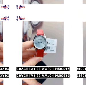 (100% Original) Coach Ladies Watch 14503209