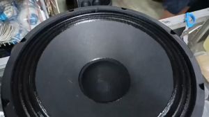 1pc. Crown Pro -1250PA 12 Inch 500 Watts Max Double Magnet Speaker