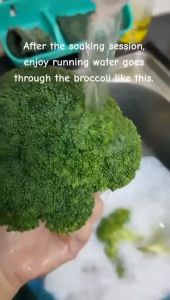 100-588SG-5 IMEC 588 SANI GREEN Vegetables Wash & Kitchen Cleaner Halal 5L