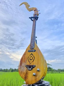 พิณโปร่งไฟฟ้าไม้ขนุน งานไม้แท้ น้ำหนักเบา เสียงดี