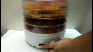 Food Dehydrator Machine: A Comprehensive Guide