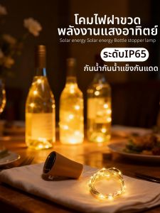 BEAUTY IN THE LIGHT | Solar LED String Lights Outdoor Decor