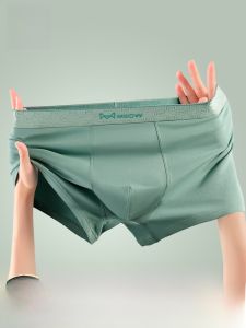 MiiOW | Quần lót nam Catman bằng cotton nguyên chất thoáng khí cạp vừa quần đùi thoải mái kháng khuẩn quần lót nam mùa đông 2024