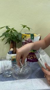 trà thảo dược cà gai leo tía tô  thanh lọc cơ thể 4 bịch 250g gồm 1kg