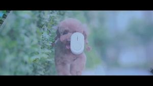 หมื่นเมตรไม่มีนก เครื่องไล่นกถาวร เครื่องไล่นกอัลตราโซนิก 360° 24 ชั่วโมง ไม่ต้องเสียบปลั๊ก ไล่นก ไล่นก ไล่ตุ๊กแก ใช้ได้ทั้งในบ้าน สำนักงาน และโกดัง