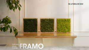 Scandiamoss Moss Frame Framo Wall Deco Frame 34 X 34cm Birch Frame and 25 Moss Color Variations Wall Deco Frame Green