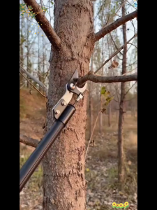 Kéo Cắt Cành 1.5m và 2 Mét Có Chức Năng Cắt Cành Trên Cao Cán Thép Cao Cấp Không Han Rỉ Lưỡi Sắc Bén Thép SK5