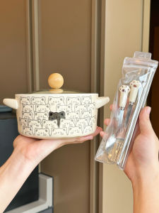 BOJINGLIPIN | Ceramic Noodle Bowl Aesthetic and Functional with Lid Specific for Instant Noodles and Rice Noodles