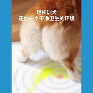 Dog Pee Pad Cat Pee Pad Pet Training Diaper Pad Bullseye Pee Pad Leak Proof Diaper Pad Toilet Pad