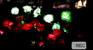 Solar Lamp Rose Flowers Firefly Outdoor Waterproof LED Solar Lamp Garden Christmas Lamp for Courtyard Pathway Lawn Gift