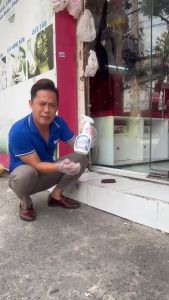 Combo 2 chai Nước tẩy đa năng Dr Natro Tẩy Sạch Siêu Pro Tẩy sạch các vết dầu mỡ cháy khét cứng đầu Làm sạch gạch mem ố màu lâu năm tẩy tắng bồn cầu - Lazada