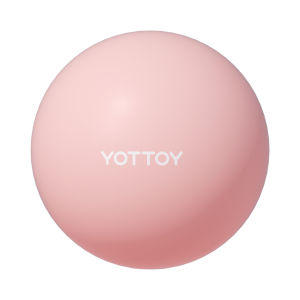 YOTTOY | Pilates Core Strength Training Yoga Ball 20cm