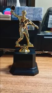 Table Tennis Human Figure Plastic Trophy 19 cm ( 229 )( Customize Available ) Trophies