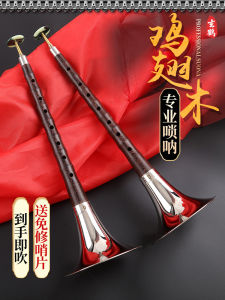 XuanHe Professional Sheng Nu Wood Oboe Full Set for Beginners D Scale Traditional Style Red And White Happy Events Old School