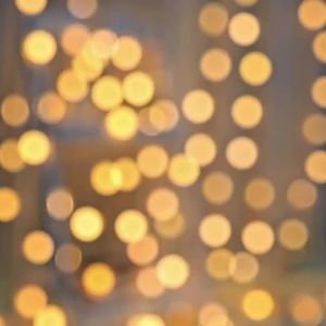 Warm White Battery Operated Small Ball Fairy String Lights for Garden Christmas Bedroom Wedding Camping Tent Home Decor