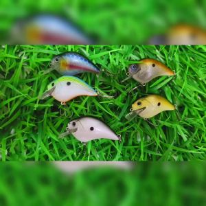 Mồi Câu Cứng Magnisher 6.5cm 12g Kích Thước Nhỏ Kiểu Mồi Crankbait Hình Vuông Nổi Lặn Trung Bình Dành Cho Cá Bass Kiểu Rung Lắc.