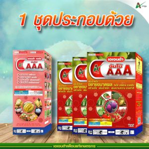 ชุดขยายผลจัมโบ้ AAA สร้างเนื้อ เร่งสี เพิ่มน้ำหนัก เพิ่มความหวาน ก่อนเก็บผลผลิต เอเจนต้า คอร์ป  (ผสมน้ำ1000 ลิตร)