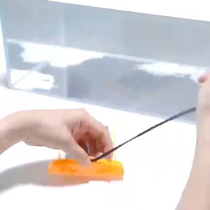 Waterproof Phone Pouch Universal Phone Waterproof Case Compatible for iPhone 14 13 12 Max Pro Samsung Galaxy s22 s10 Up to 7.2" IPX8 Cell Phone Dry Bags