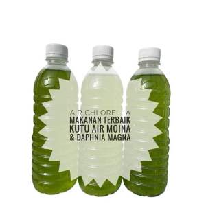 ❗️Beli5percuma1❗️1 bottle Green Water starter air hijau chlorella untuk pembiakan kutu air lebih jitu