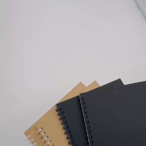 60 Sheets A5 Notebook Hardbound Spiral Notepad Kraft Cover Double Metal Ring Loose Leaf Composition