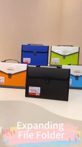 Expanding File Folder,Durable Portable Convenient with Handle and Exquisite Clasp Multi-Layer A4 Size 13 Pockets Accordian Expandable Large Capacity for Office School Document Organiser Storage Bag