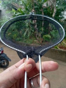 Orok orok alat petik buah mangga matoa jambu manggis kuat tahan lama