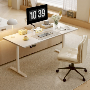 Loctek | Smart Electric Standing Desk