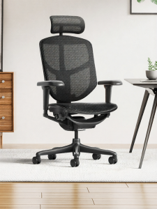 Ergonor | Ergonomic Computer Chair Comfortable Adjustable Reclining