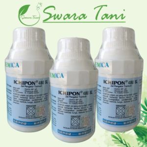 ICHIPON 480SL 100ml ZPT Etafon 480 g/l Zat Pengatur Tumbuh & Pematang Buah Agrochemica Orbyte Ethrel