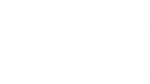 Smart Heart Adult Cat Wet Food Pouch 85g