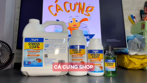 API STRESS COAT - Thần dược khử độc dưỡng cá giảm stress cho cá cảnh (CHÍNH HÃNG)