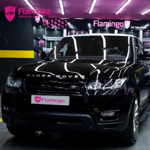 Chai xịt bọt vệ sinh đa năng nội thất ghế da trần nỉ ô tô Flamingo F002 chai 650ml