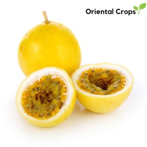 passion fruit 10 seeds for planting easy to grow