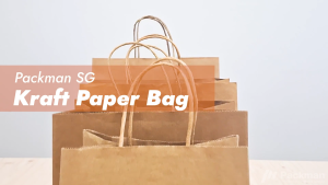 (50PCS) 150GSM Kraft Paper Gift Bags with Border Design for Birthday Events National Day Sampling - Gift Bags for Clothes Parties Food