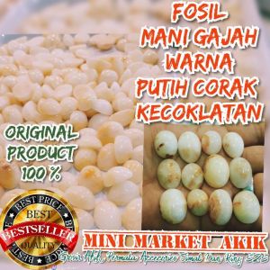 Batu akik mani gajah / mg asli alam