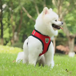 Pet leash with harness dog&cat leash and collar leash Soft Mesh Breathable Adjustable