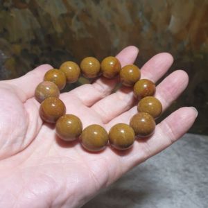 16mm Premium Madagascar Petrified Wood brownish yellowish bracelet [Natural Crystal] 优质马达加斯加木化石褐黄手链